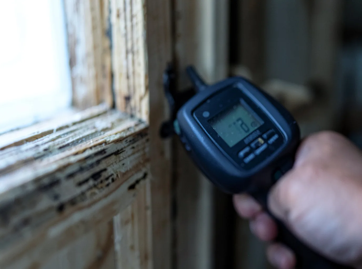 Moisture Inspection And Documentation in Hempstead, TX